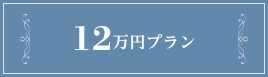 12万円プラン