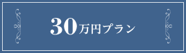 30万円プラン