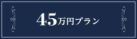 45万円プラン