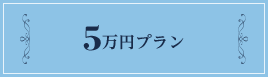 5万円プラン