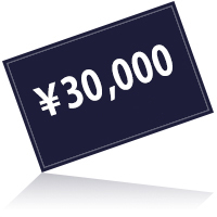 30000円プラン